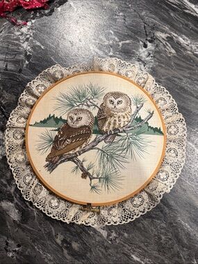 Owl Hoop Wall Art - Lace Trim